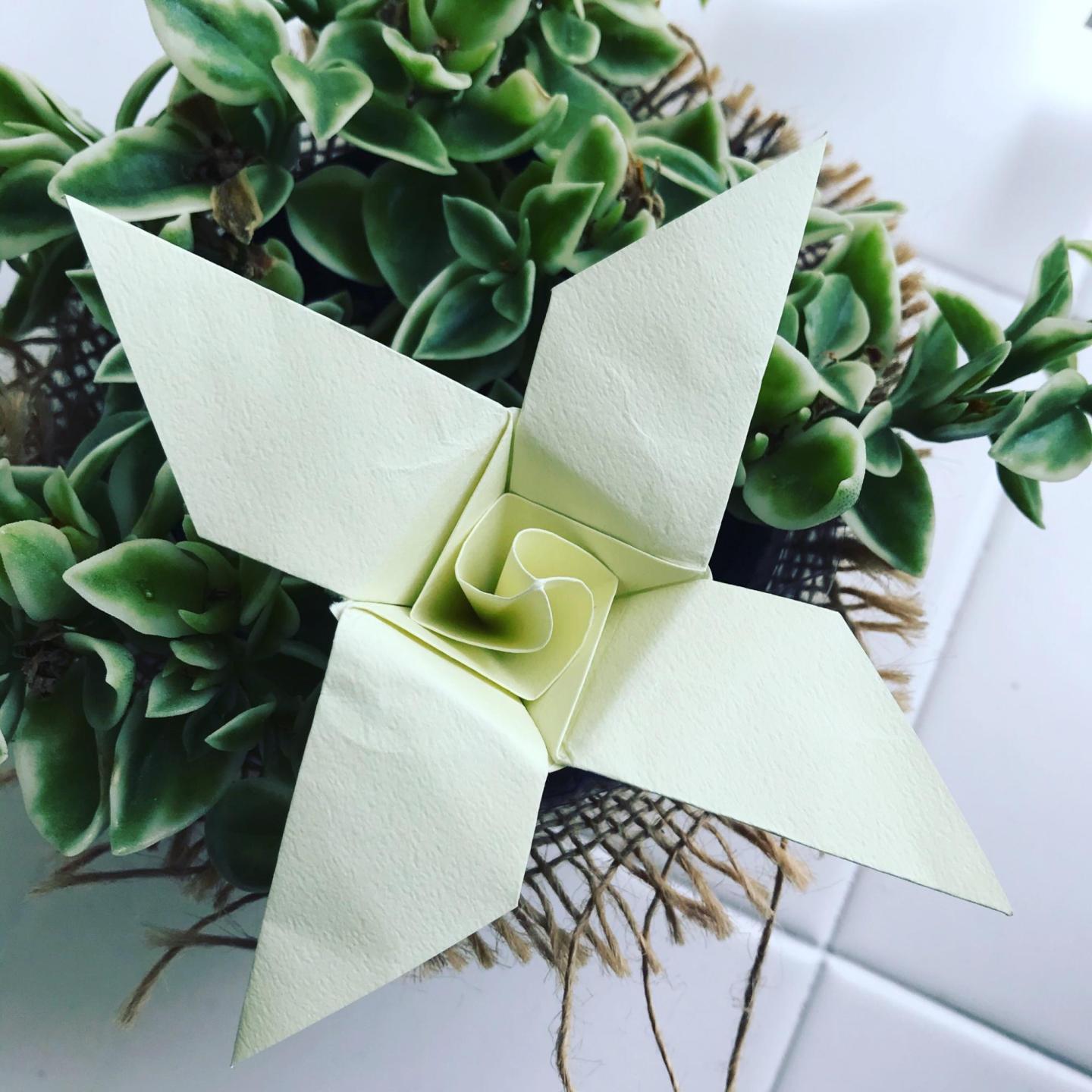 Schneiderorigami | CFC Origami