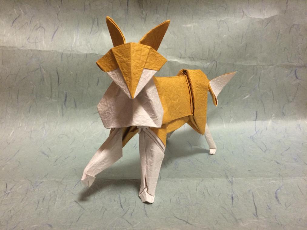 fox
