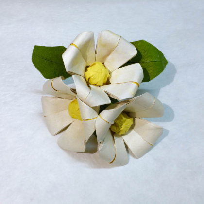 Jasmine Flower