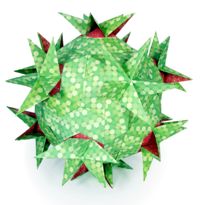 Endora Kusudama