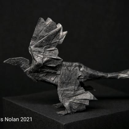 Microraptor gui