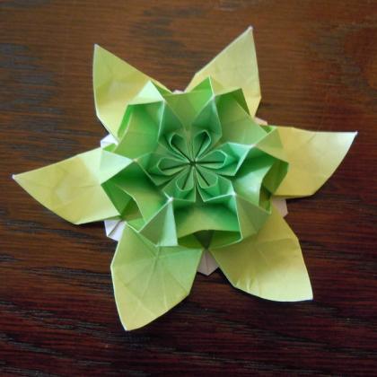 Wolfgang Flower