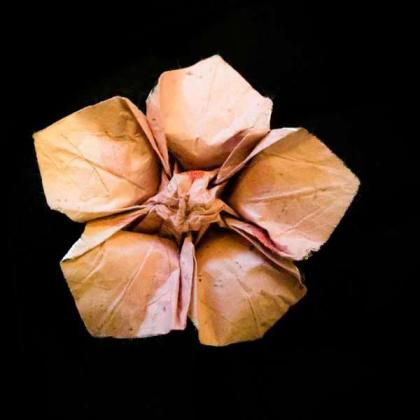 Amehana No Hana (Rainflower Blossom)