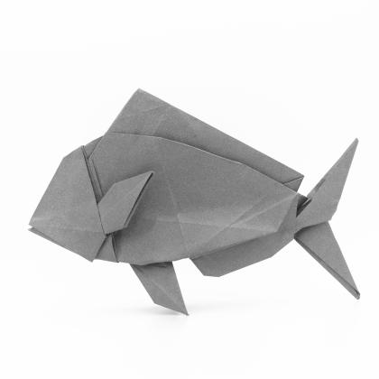 Snapper