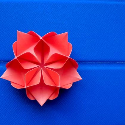 2-stage Pentagonal Lotus (2015)