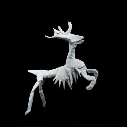 Deer Skeleton