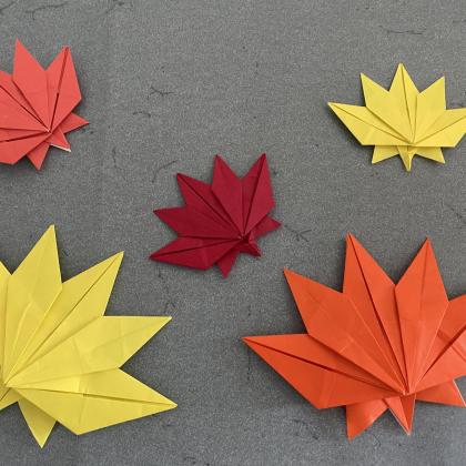 Autumn Japanese maple leaves