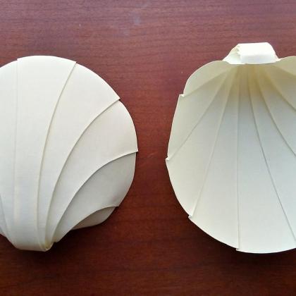 Scallop Shells