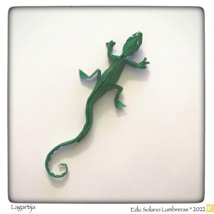 Lizard