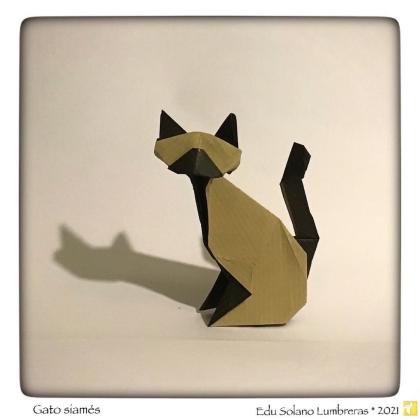 Siamese cat