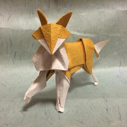 fox
