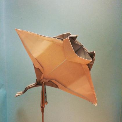 manta