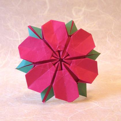 Flower. Fold and image by Gilad Aharoni