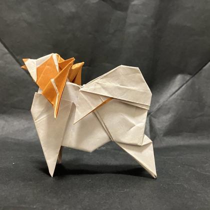 papillon