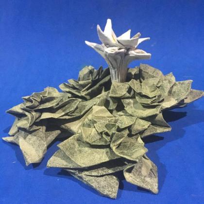 Gentiana bicentenaria