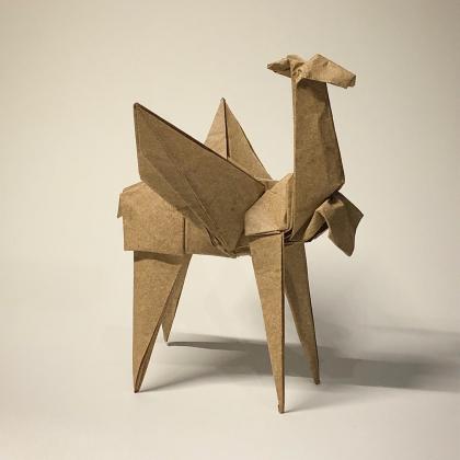 Vicuñasus