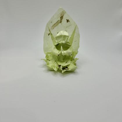 Buddha
