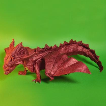 Dragon diagonal symmetry 